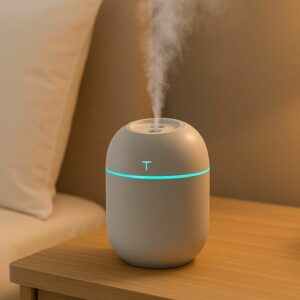 Diffuseur de senteur H2O