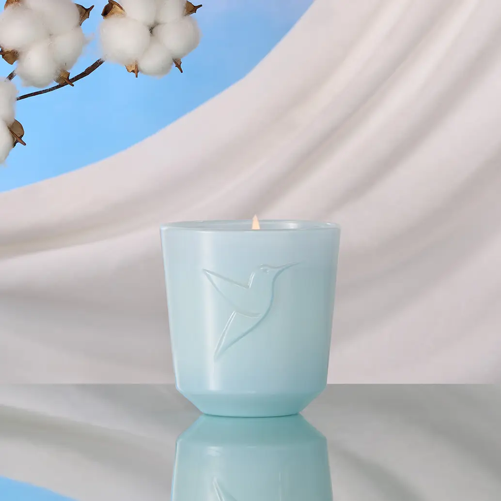 Thé Blanc – Image 3